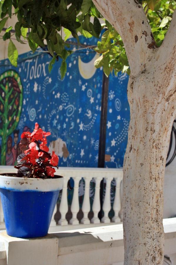 Casa Pepe La Rosa Atico Διαμέρισμα Tolox Εξωτερικό φωτογραφία
