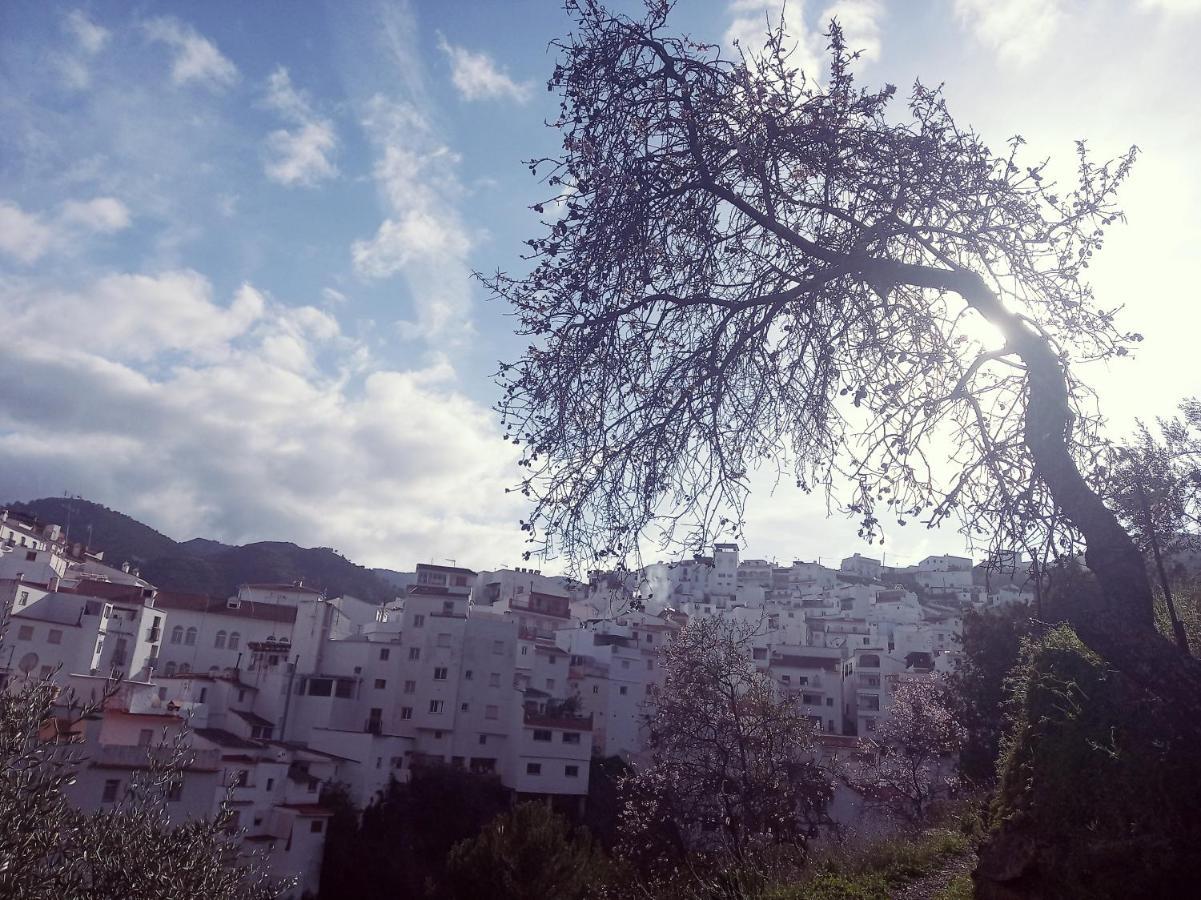 Casa Pepe La Rosa Atico Διαμέρισμα Tolox Εξωτερικό φωτογραφία
