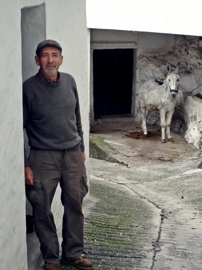Casa Pepe La Rosa Atico Διαμέρισμα Tolox Εξωτερικό φωτογραφία